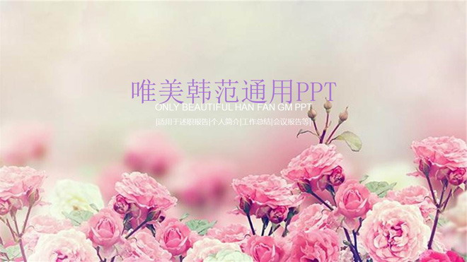 ɫǾޱĺPPTģ