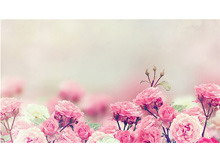 ɫǾޱõƬͼƬ