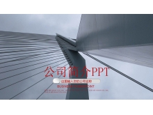 ҵ˾PPTģ