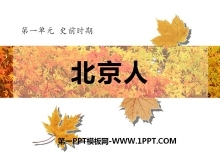 ˡʷǰʱPPTμ