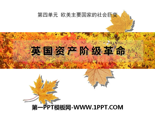 Ӣʲ׼ŷҪҵޱPPTμ2